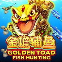 Golden Toad Fish Hunting