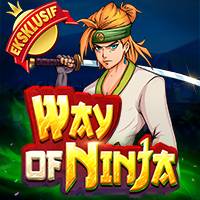 Way of Ninja