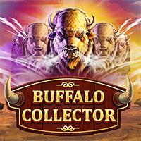 Buffalo Collector