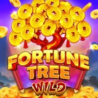 SBOFUNKYGAME
