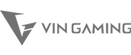 vin-gaming